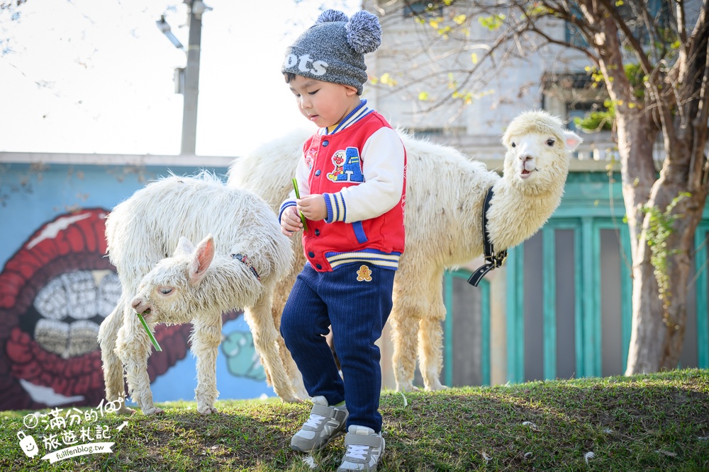 【2025琉璃仙境最新動物園區】環遊世界的萌寵樂園.笑笑羊.羊駝.侏儒山羊陪你玩,還能在水管屋裡吃火鍋!