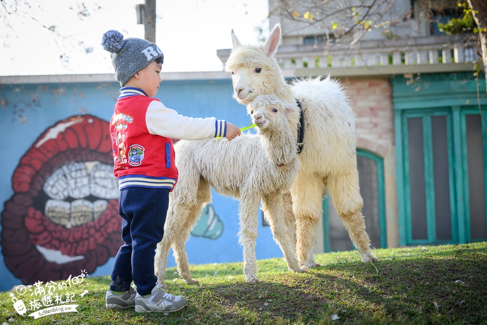 【2025琉璃仙境最新動物園區】環遊世界的萌寵樂園.笑笑羊.羊駝.侏儒山羊陪你玩,還能在水管屋裡吃火鍋!