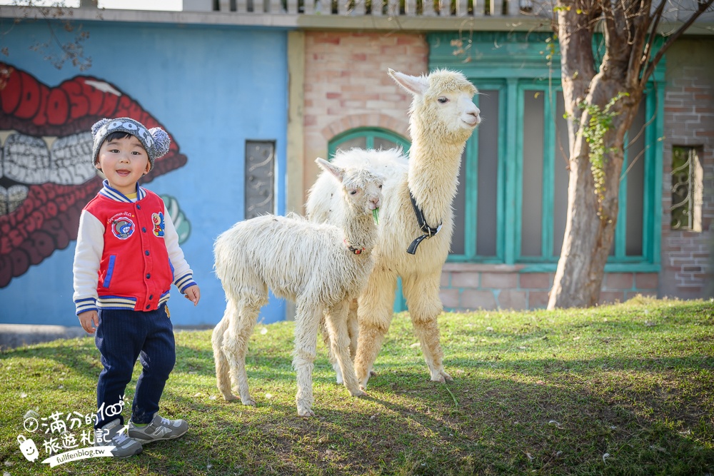 【2025琉璃仙境最新動物園區】環遊世界的萌寵樂園.笑笑羊.羊駝.侏儒山羊陪你玩,還能在水管屋裡吃火鍋!
