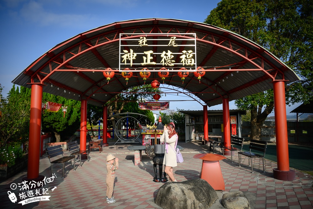 【台中尾社福德祠落羽松】后里落羽松秘境.最新彩虹橋落羽松林,還能眺望火炎山和玩兒童遊戲區！