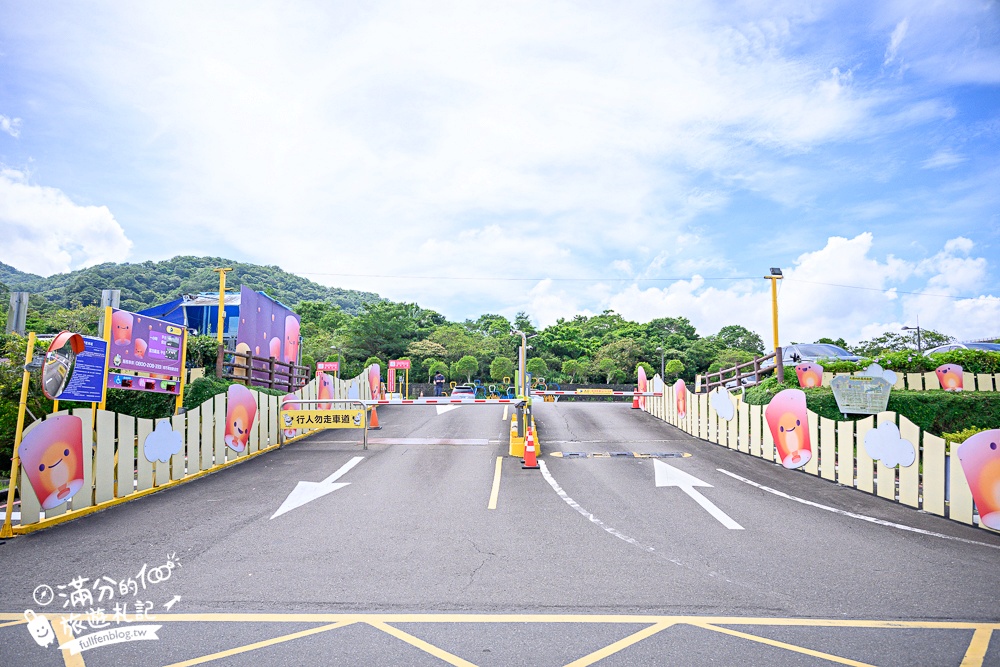 【2025平溪十分瀑布公園】免門票台版尼加拉大瀑布,親子同行專屬無障礙步道,超震撼~森林系天然溪谷瀑布!