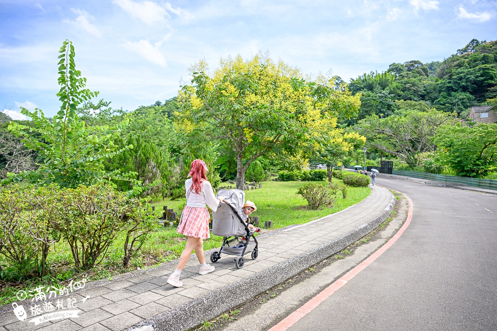【2025平溪十分瀑布公園】免門票台版尼加拉大瀑布,親子同行專屬無障礙步道,超震撼~森林系天然溪谷瀑布!