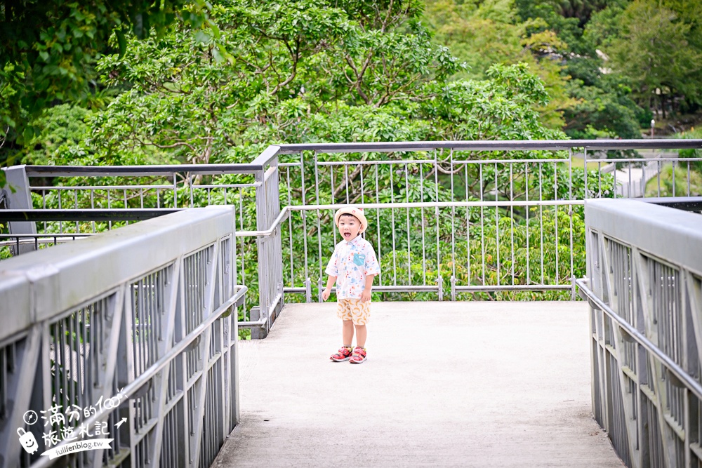 【2025平溪十分瀑布公園】免門票台版尼加拉大瀑布,親子同行專屬無障礙步道,超震撼~森林系天然溪谷瀑布!