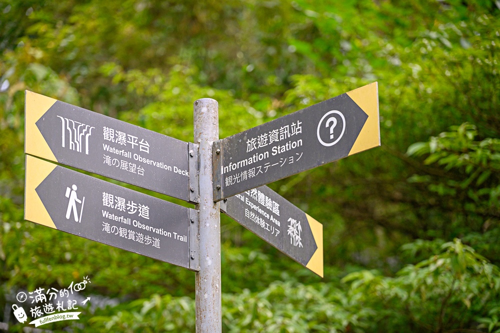【2025平溪十分瀑布公園】免門票台版尼加拉大瀑布,親子同行專屬無障礙步道,超震撼~森林系天然溪谷瀑布!