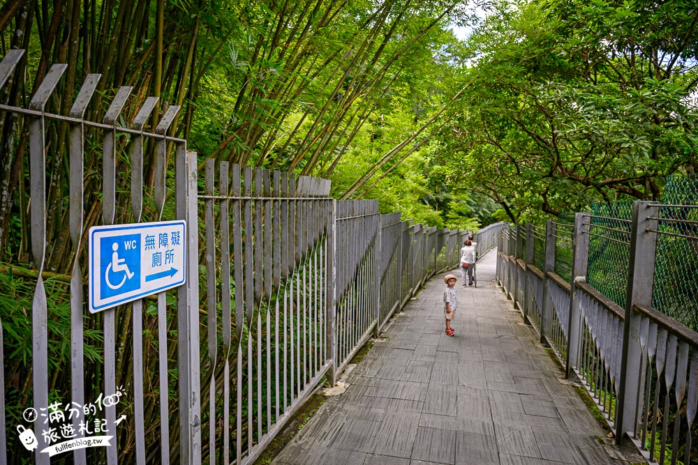 【2025平溪十分瀑布公園】免門票台版尼加拉大瀑布,親子同行專屬無障礙步道,超震撼~森林系天然溪谷瀑布!