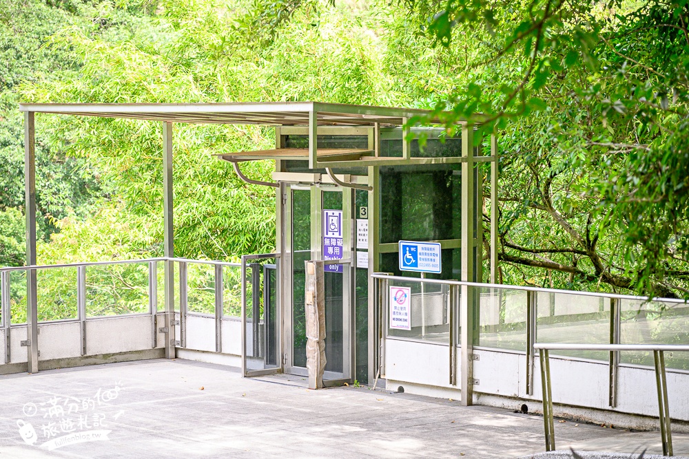 【2025平溪十分瀑布公園】免門票台版尼加拉大瀑布,親子同行專屬無障礙步道,超震撼~森林系天然溪谷瀑布!