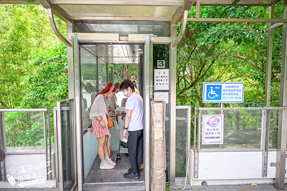 【2025平溪十分瀑布公園】免門票台版尼加拉大瀑布,親子同行專屬無障礙步道,超震撼~森林系天然溪谷瀑布!