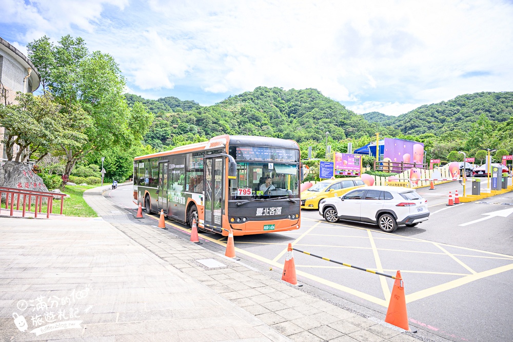 【2025平溪十分瀑布公園】免門票台版尼加拉大瀑布,親子同行專屬無障礙步道,超震撼~森林系天然溪谷瀑布!