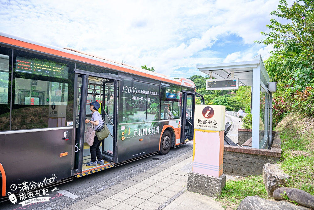 【2025平溪十分瀑布公園】免門票台版尼加拉大瀑布,親子同行專屬無障礙步道,超震撼~森林系天然溪谷瀑布!