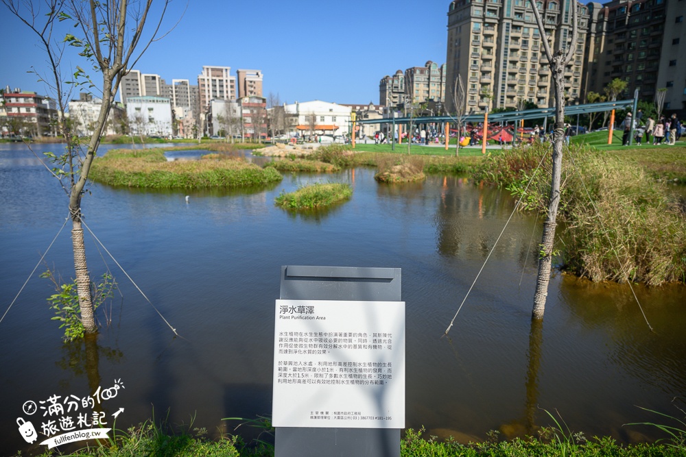 桃園【The QiAO喬寓咖啡】華興池生態埤塘公園最新玻璃屋咖啡館,飛機看到飽,還能玩SUP&踩天鵝!