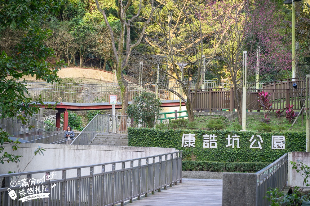 【2025汐止康誥坑溪文化櫻花季】康誥坑溪櫻花大道綻放中,溪川桃粉色櫻花好迷人,夜櫻景緻更夢幻！