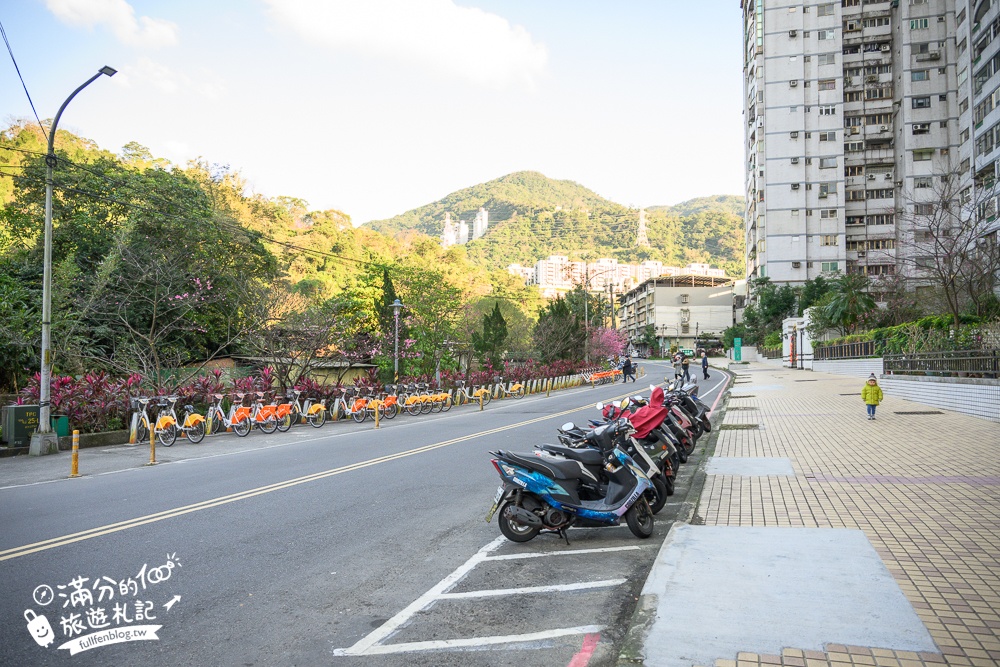 【2025汐止康誥坑溪文化櫻花季】康誥坑溪櫻花大道綻放中,溪川桃粉色櫻花好迷人,夜櫻景緻更夢幻！