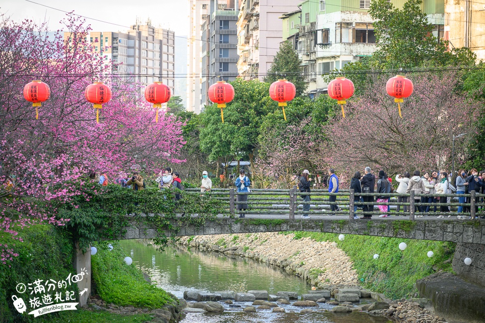 【2025汐止康誥坑溪文化櫻花季】康誥坑溪櫻花大道綻放中,溪川桃粉色櫻花好迷人,夜櫻景緻更夢幻！