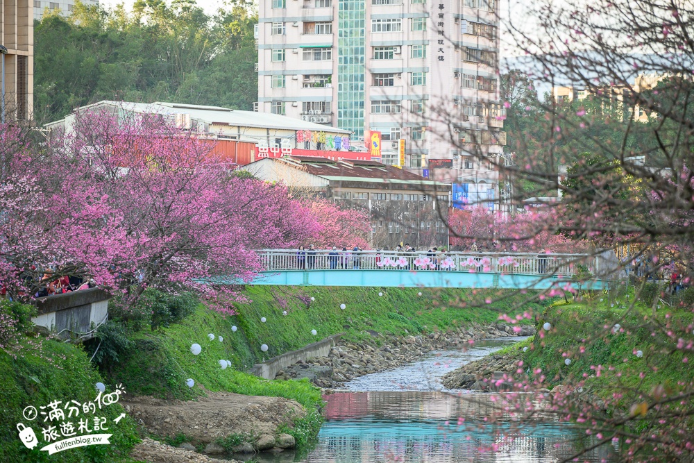 【2025汐止康誥坑溪文化櫻花季】康誥坑溪櫻花大道綻放中,溪川桃粉色櫻花好迷人,夜櫻景緻更夢幻！