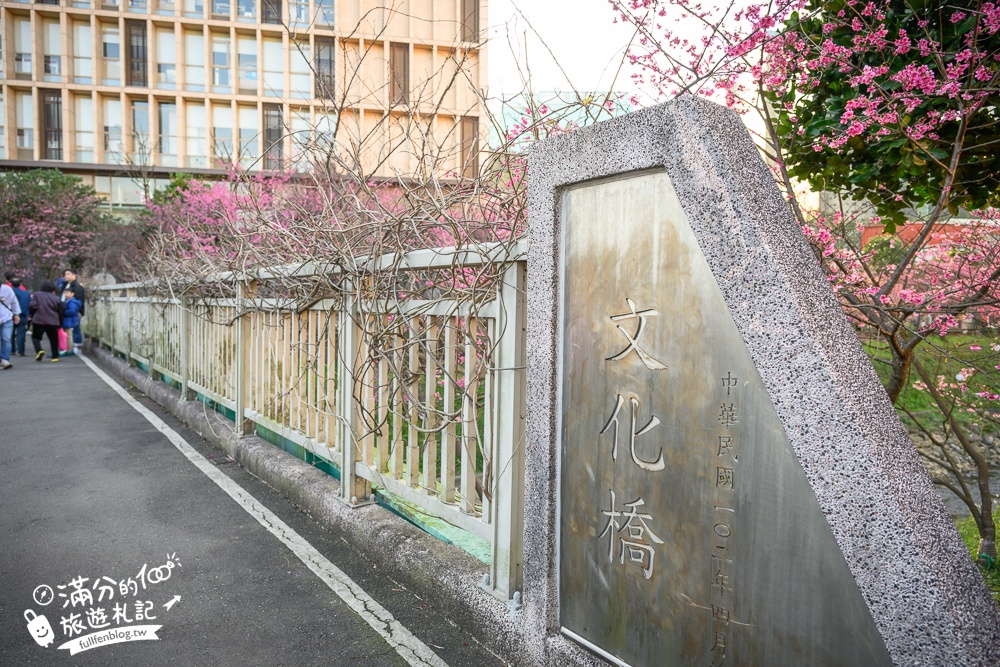 【2025汐止康誥坑溪文化櫻花季】康誥坑溪櫻花大道綻放中,溪川桃粉色櫻花好迷人,夜櫻景緻更夢幻！