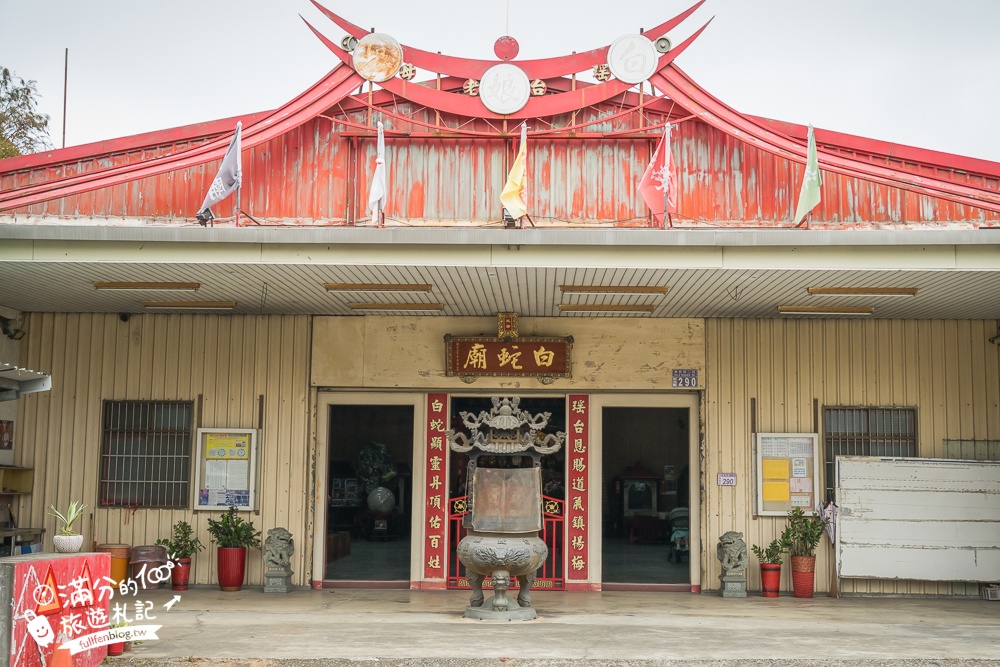桃園【白蛇廟】全台唯一白娘娘白蛇廟,奇廟之稱,供奉300條白蛇,還能體驗小白龍披掛加持好運保平安!