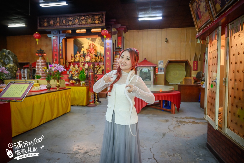 桃園【白蛇廟】全台唯一白娘娘白蛇廟,奇廟之稱,供奉300條白蛇,還能體驗小白龍披掛加持好運保平安!