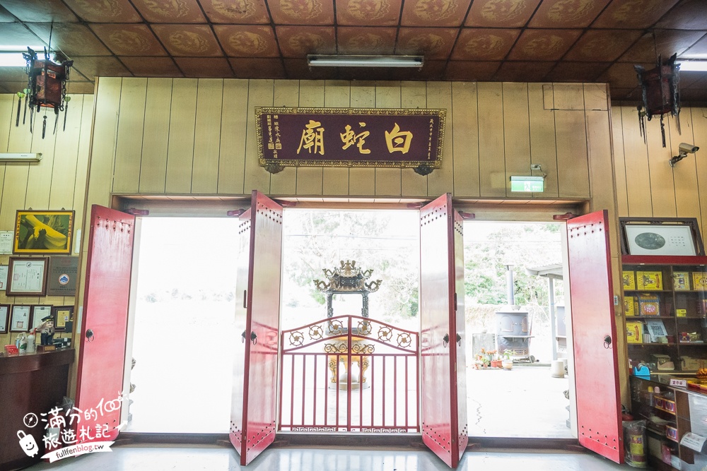 桃園【白蛇廟】全台唯一白娘娘白蛇廟,奇廟之稱,供奉300條白蛇,還能體驗小白龍披掛加持好運保平安!