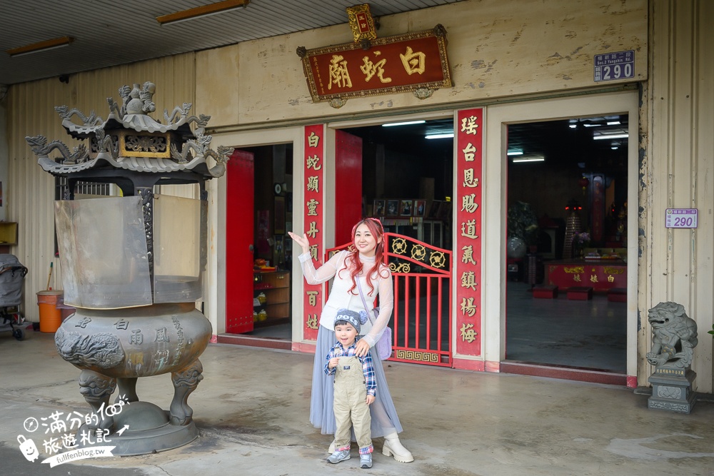 桃園【白蛇廟】全台唯一白娘娘白蛇廟,奇廟之稱,供奉300條白蛇,還能體驗小白龍披掛加持好運保平安!