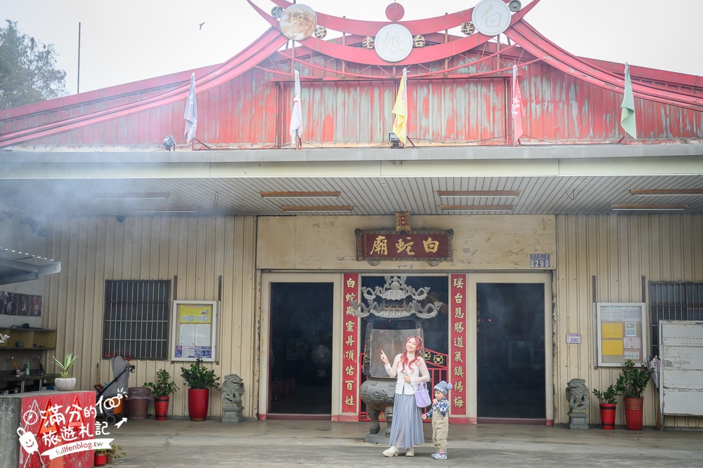 桃園【白蛇廟】全台唯一白娘娘白蛇廟,奇廟之稱,供奉300條白蛇,還能體驗小白龍披掛加持好運保平安!