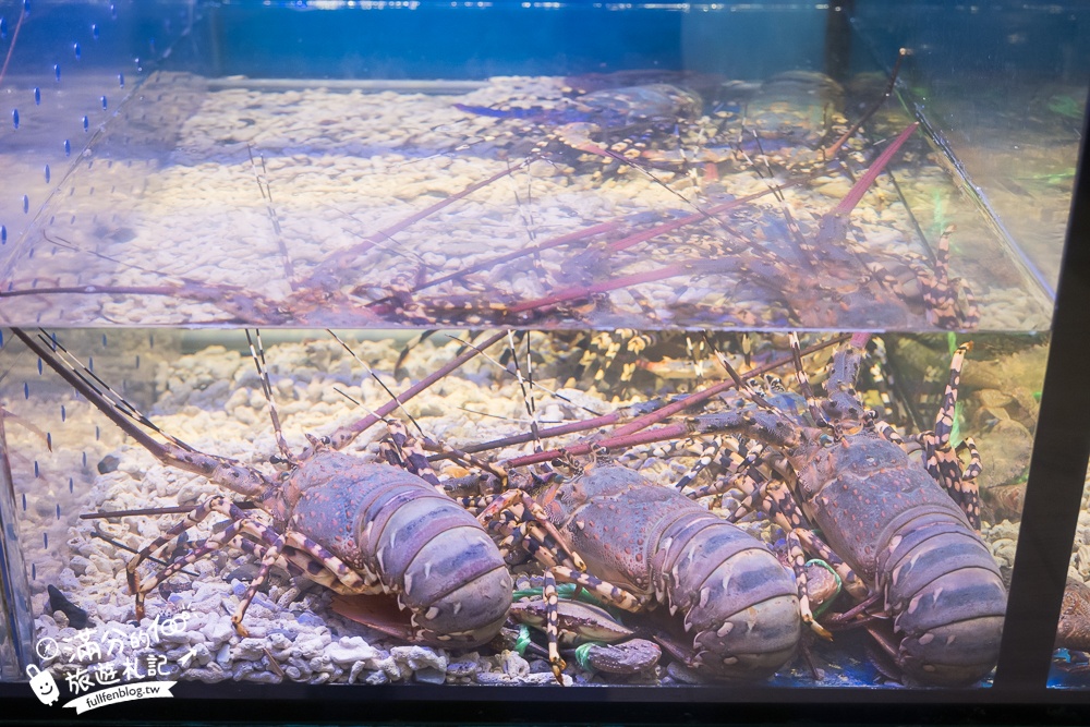 新竹【八庵和風海宴】海鮮控必吃!竹北另類無菜單料理,活跳跳海鮮現選現煮新鮮吃得到,大小家庭聚會首選!