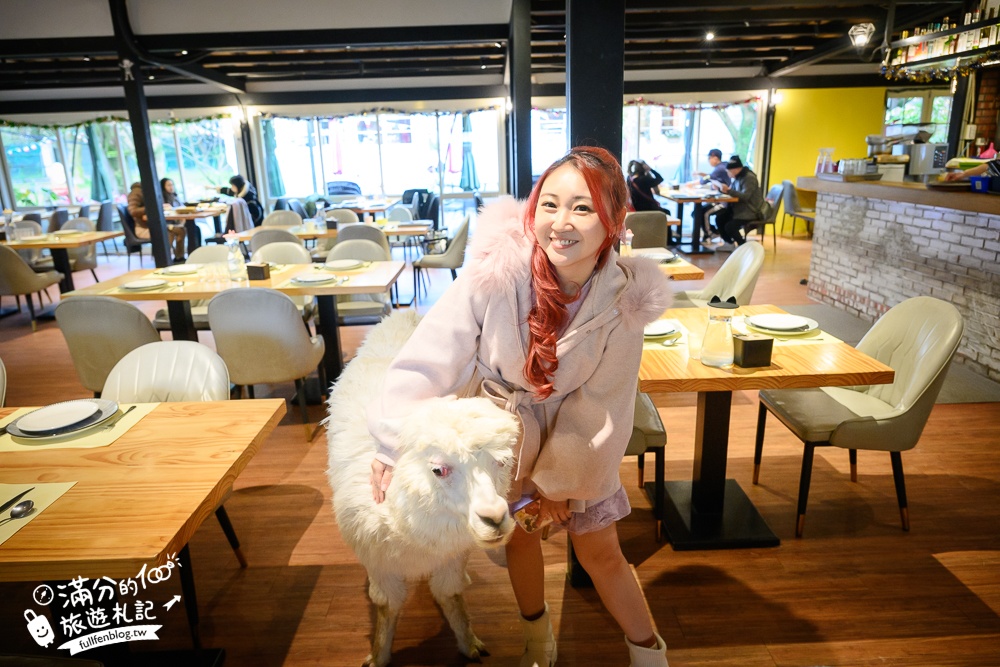 陽明山【大衛小小羊David&Alpaca】全台最大美軍宿舍群改建萌寵餐廳,與羊駝互動好好玩!