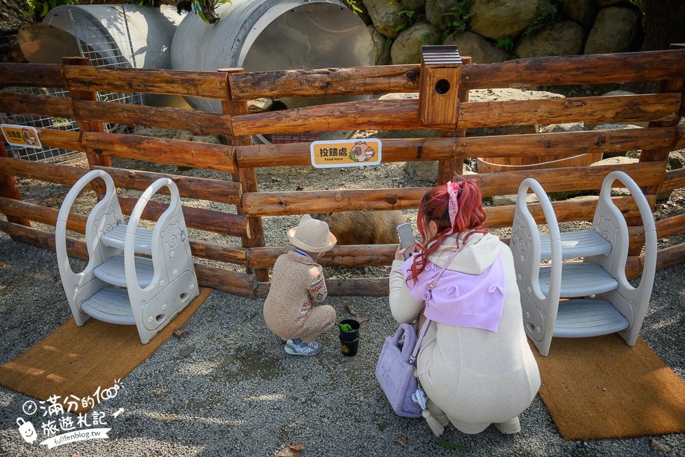 南投【鹿芝谷生態景觀園區】鹿谷最新親子農場,山谷裡與萌寵玩樂,還能與水豚一起喝下午茶!