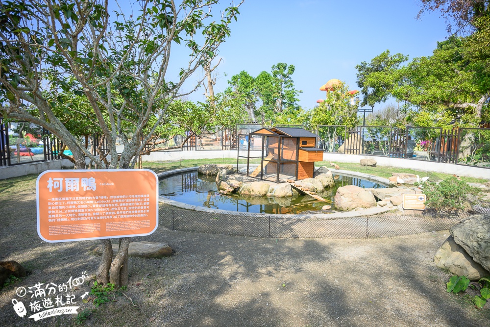 南投【鹿芝谷生態景觀園區】鹿谷最新親子農場,山谷裡與萌寵玩樂,還能與水豚一起喝下午茶!