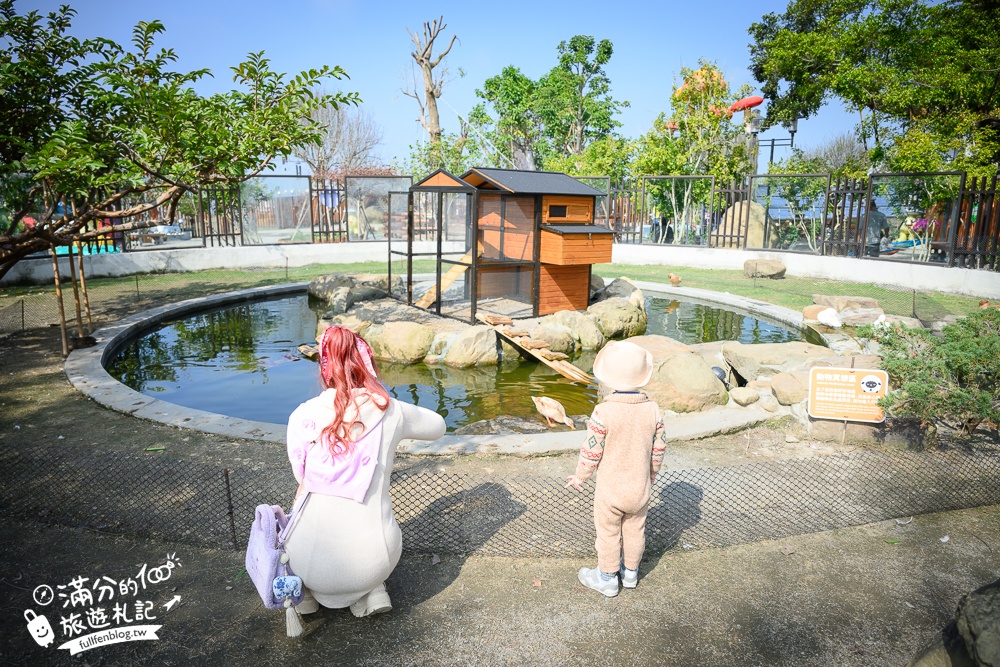 南投【鹿芝谷生態景觀園區】鹿谷最新親子農場,山谷裡與萌寵玩樂,還能與水豚一起喝下午茶!