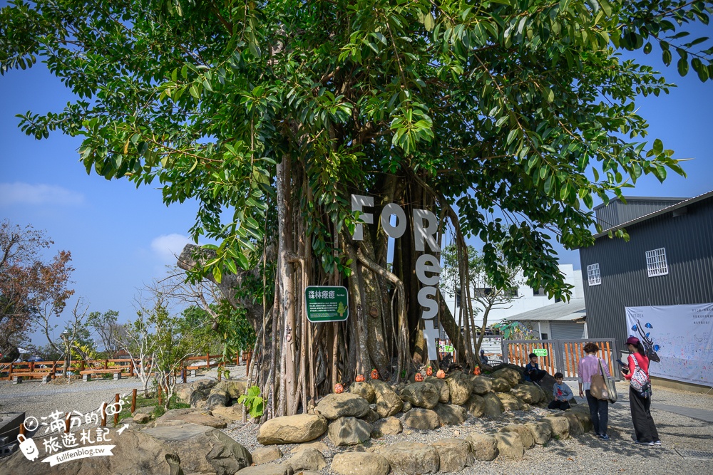 南投【鹿芝谷生態景觀園區】鹿谷最新親子農場,山谷裡與萌寵玩樂,還能與水豚一起喝下午茶!