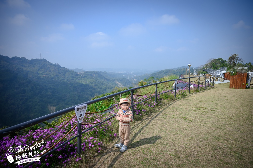 南投【鹿芝谷生態景觀園區】鹿谷最新親子農場,山谷裡與萌寵玩樂,還能與水豚一起喝下午茶!