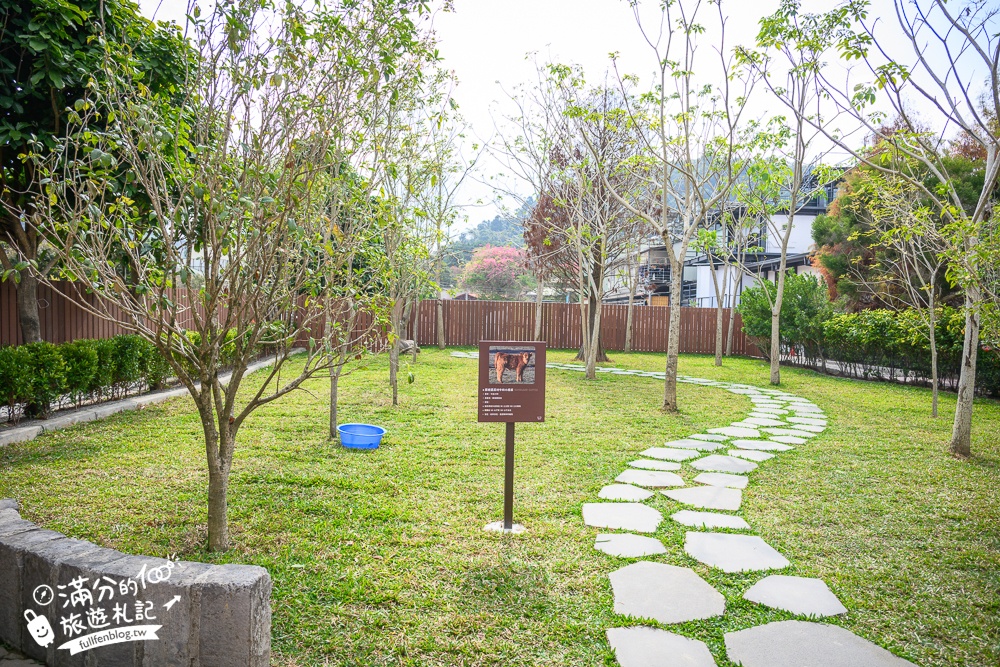 南投【水与松萌萌園】埔里最新親子農場實際遊園感受.可見樹懶.羊駝.水豚.泰迪羊.笑笑羊和袋鼠!