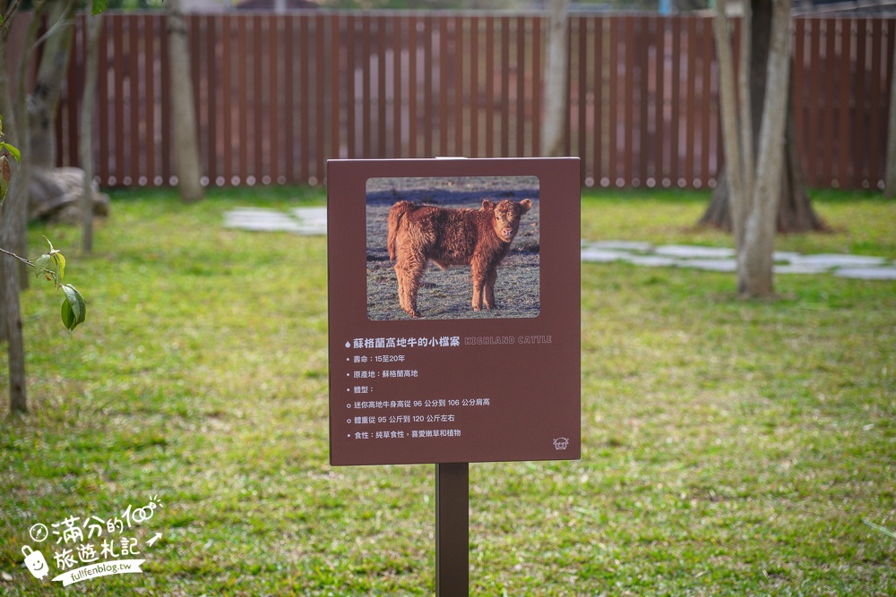 南投【水与松萌萌園】埔里最新親子農場實際遊園感受.可見樹懶.羊駝.水豚.泰迪羊.笑笑羊和袋鼠!