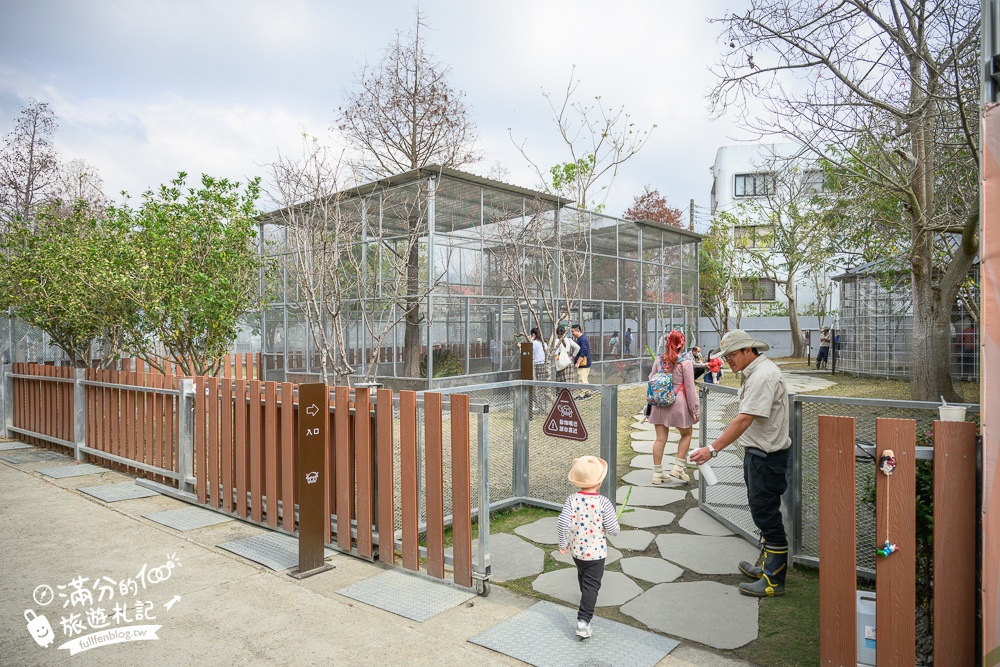 南投【水与松萌萌園】埔里最新親子農場實際遊園感受.可見樹懶.羊駝.水豚.泰迪羊.笑笑羊和袋鼠!