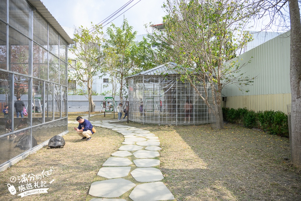 南投【水与松萌萌園】埔里最新親子農場實際遊園感受.可見樹懶.羊駝.水豚.泰迪羊.笑笑羊和袋鼠!