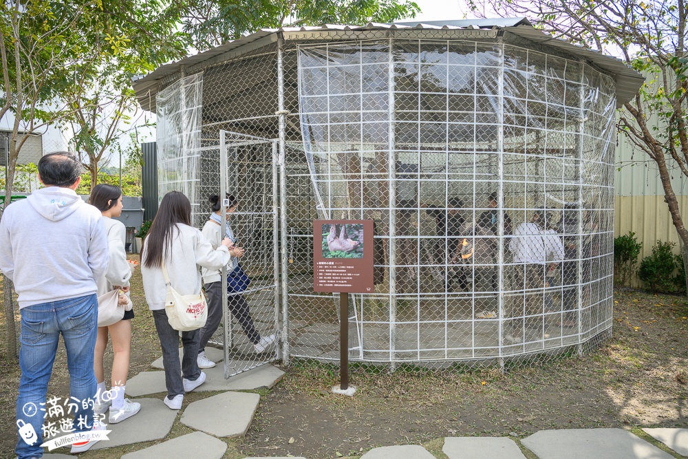 南投【水与松萌萌園】埔里最新親子農場實際遊園感受.可見樹懶.羊駝.水豚.泰迪羊.笑笑羊和袋鼠!