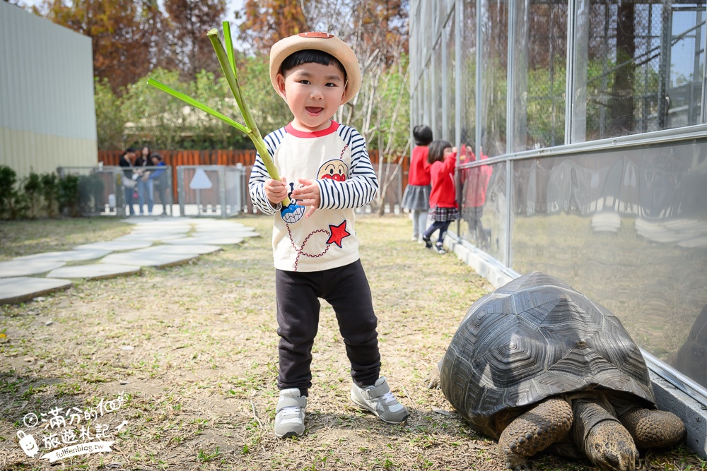 南投【水与松萌萌園】埔里最新親子農場實際遊園感受.可見樹懶.羊駝.水豚.泰迪羊.笑笑羊和袋鼠!