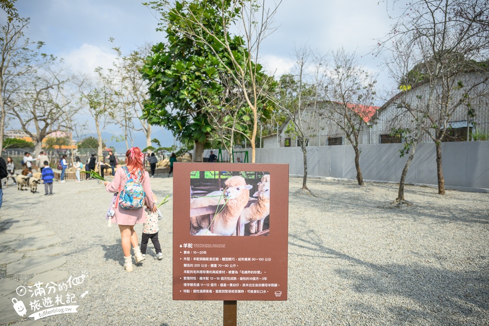 南投【水与松萌萌園】埔里最新親子農場實際遊園感受.可見樹懶.羊駝.水豚.泰迪羊.笑笑羊和袋鼠!