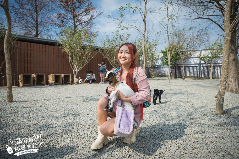 南投【水与松萌萌園】埔里最新親子農場實際遊園感受.可見樹懶.羊駝.水豚.泰迪羊.笑笑羊和袋鼠!