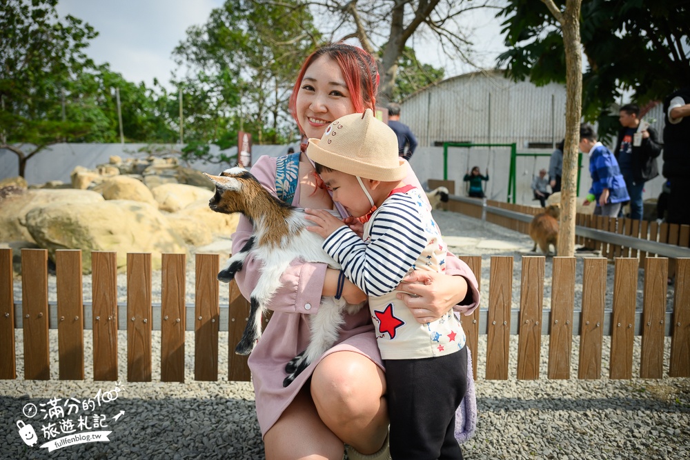 南投【水与松萌萌園】埔里最新親子農場實際遊園感受.可見樹懶.羊駝.水豚.泰迪羊.笑笑羊和袋鼠!