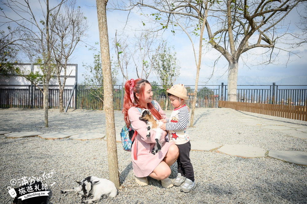 南投【水与松萌萌園】埔里最新親子農場實際遊園感受.可見樹懶.羊駝.水豚.泰迪羊.笑笑羊和袋鼠!