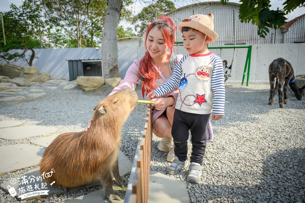 南投【水与松萌萌園】埔里最新親子農場實際遊園感受.可見樹懶.羊駝.水豚.泰迪羊.笑笑羊和袋鼠!