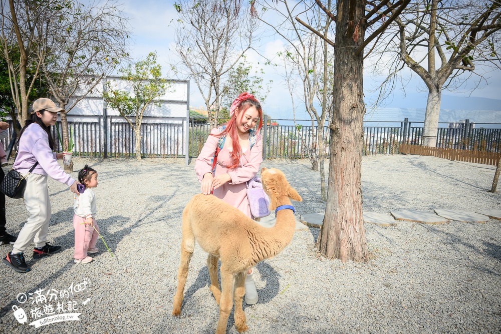 南投【水与松萌萌園】埔里最新親子農場實際遊園感受.可見樹懶.羊駝.水豚.泰迪羊.笑笑羊和袋鼠!