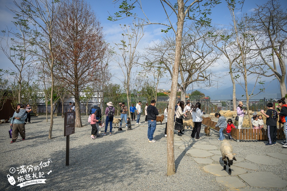 南投【水与松萌萌園】埔里最新親子農場實際遊園感受.可見樹懶.羊駝.水豚.泰迪羊.笑笑羊和袋鼠!
