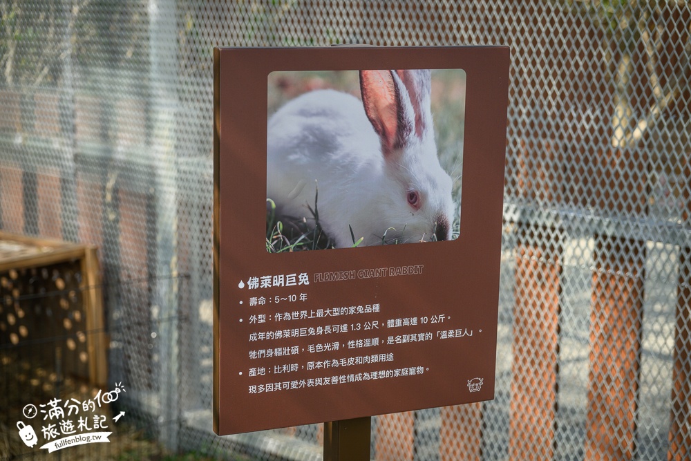 南投【水与松萌萌園】埔里最新親子農場實際遊園感受.可見樹懶.羊駝.水豚.泰迪羊.笑笑羊和袋鼠!