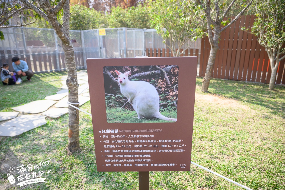 南投【水与松萌萌園】埔里最新親子農場實際遊園感受.可見樹懶.羊駝.水豚.泰迪羊.笑笑羊和袋鼠!