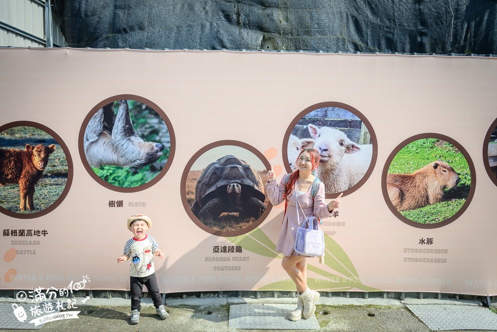 南投【水与松萌萌園】埔里最新親子農場實際遊園感受.可見樹懶.羊駝.水豚.泰迪羊.笑笑羊和袋鼠!