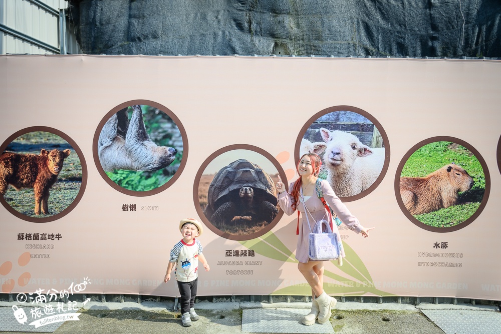 南投【水与松萌萌園】埔里最新親子農場實際遊園感受.可見樹懶.羊駝.水豚.泰迪羊.笑笑羊和袋鼠!