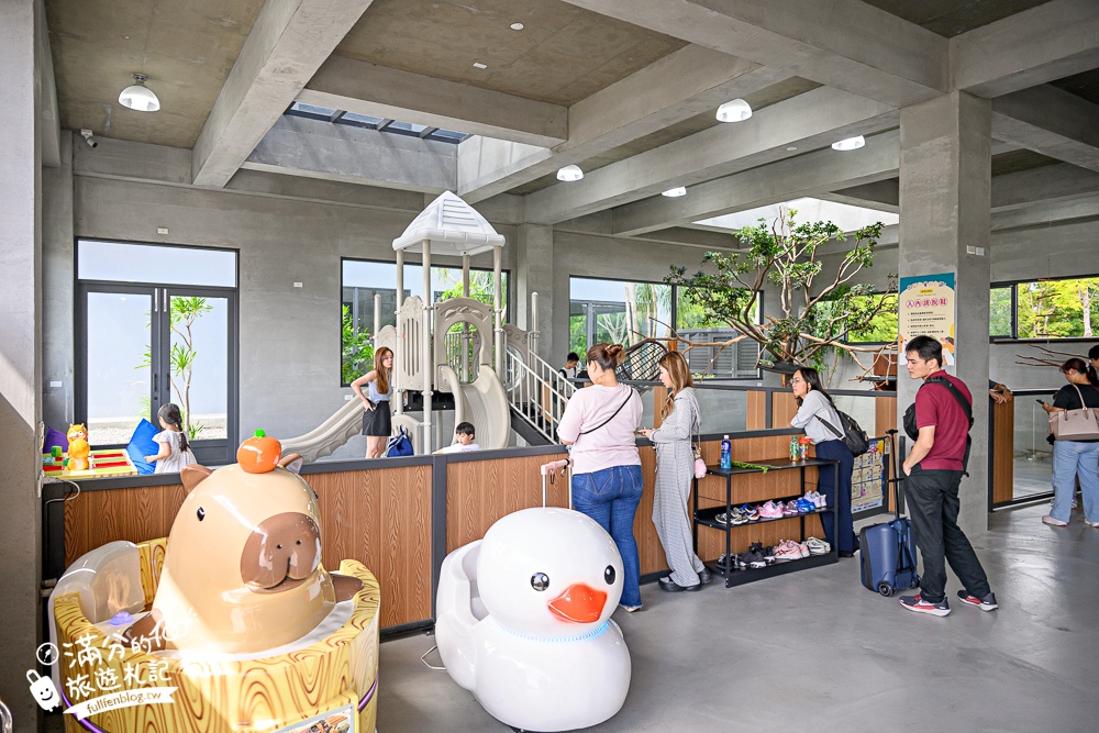 宜蘭【樹懶餐廳萌寵農場】落羽松玻璃屋超美,三大區萌寵玩樂互動空間開箱,與樹懶.泰迪羊.鸚鵡.大紅鶴.鵜鶘互動太好玩!