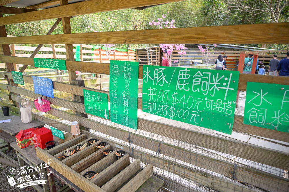 【苗栗哈比丘】2025最新竹林秘境&紫粉色麝香木開放啦!銅鑼最好玩的親子哈比屋.來餵笑笑羊.水豚和袋鼠和盪鞦韆!